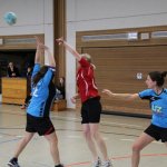 2017_01_08 Landesliga Frauen u. J19